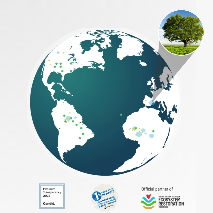 Boxhero Prime Club Subscription Tree